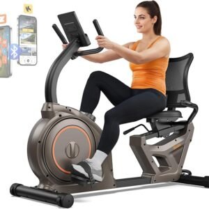 Niceday Recumbent Exercise Bike, Recumbent Bike for Home, Recumbent Stationary Bike 400LBS Weight Capacity