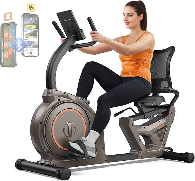 Niceday Recumbent Exercise Bike, Recumbent Bike for Home, Recumbent Stationary Bike 400LBS Weight Capacity