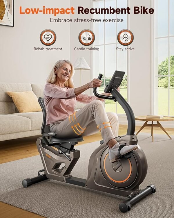 Niceday Recumbent Exercise Bike, Recumbent Bike for Home, Recumbent Stationary Bike 400LBS Weight Capacity