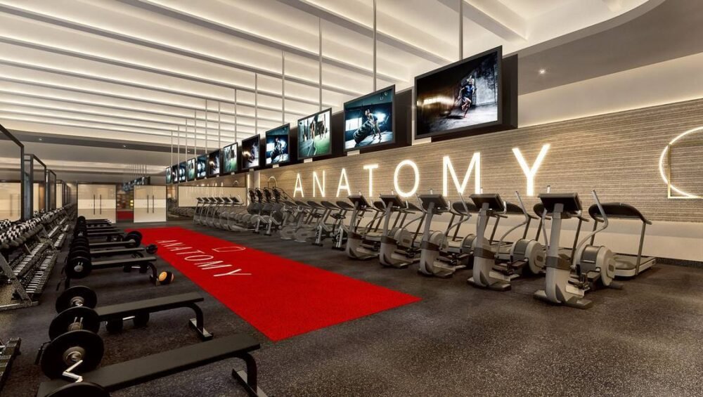 anatomy fitness miami