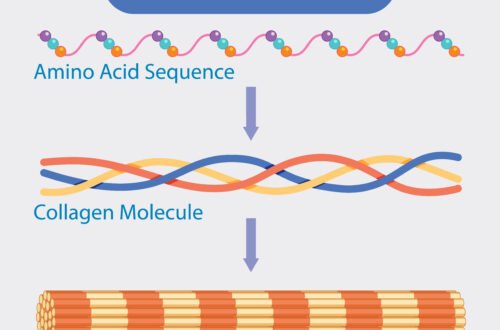 collagen for athletes