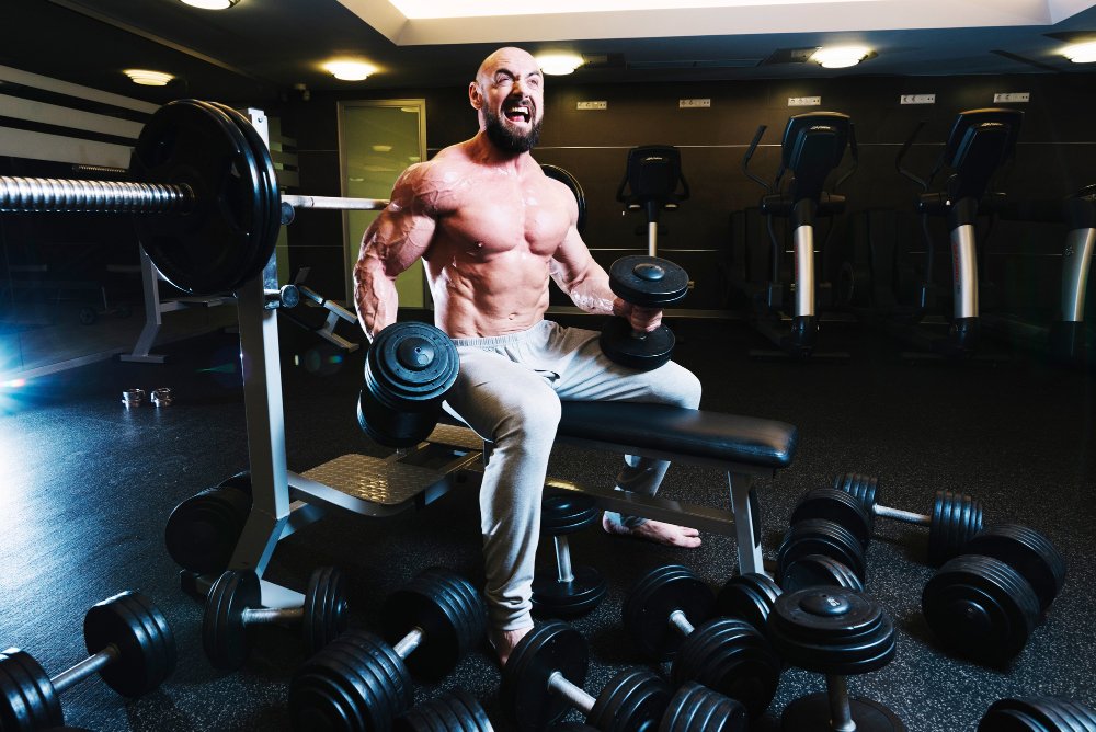 creatine cycle