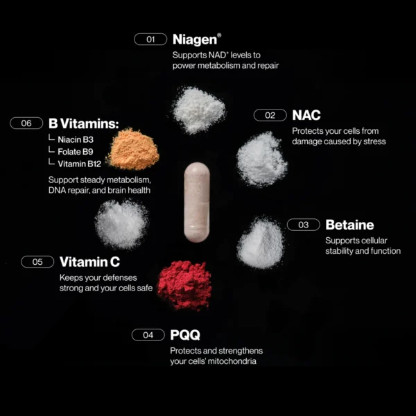 Momentous Longevity Cellular Health 90 capsules