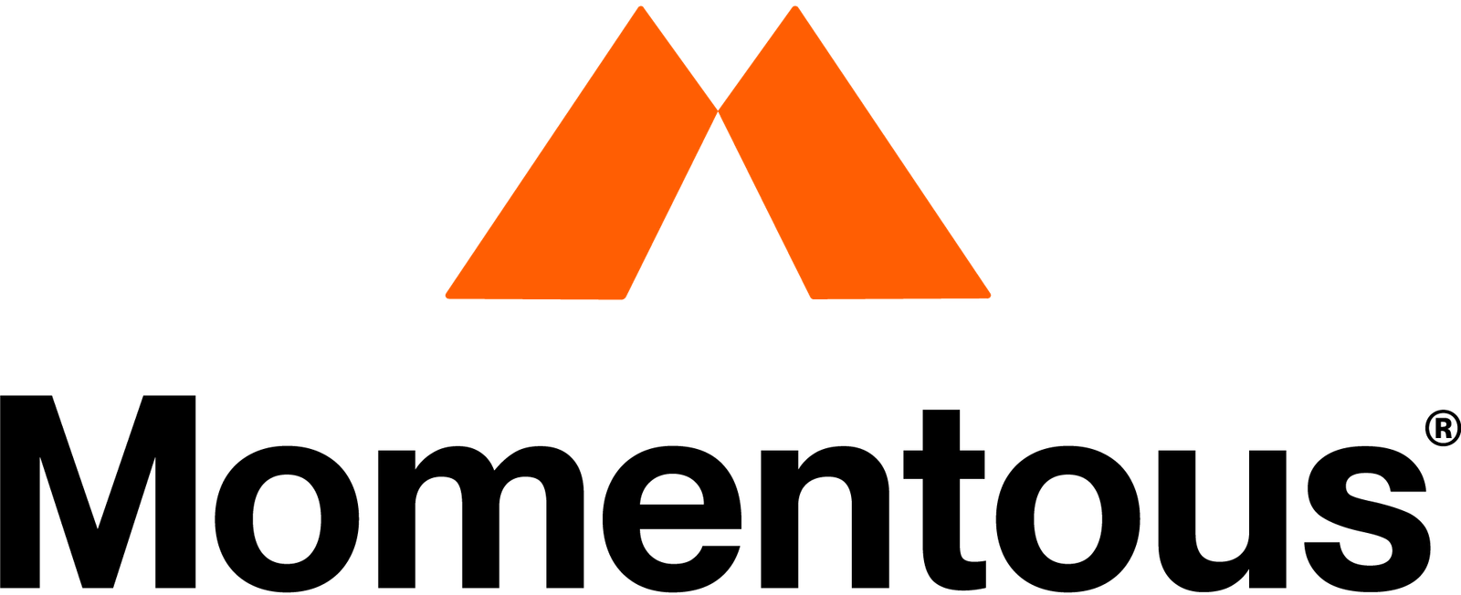 momentous company information