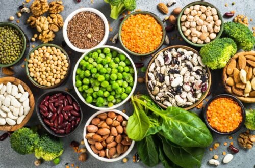 plant based proteins