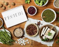 plant protein vs whey protein