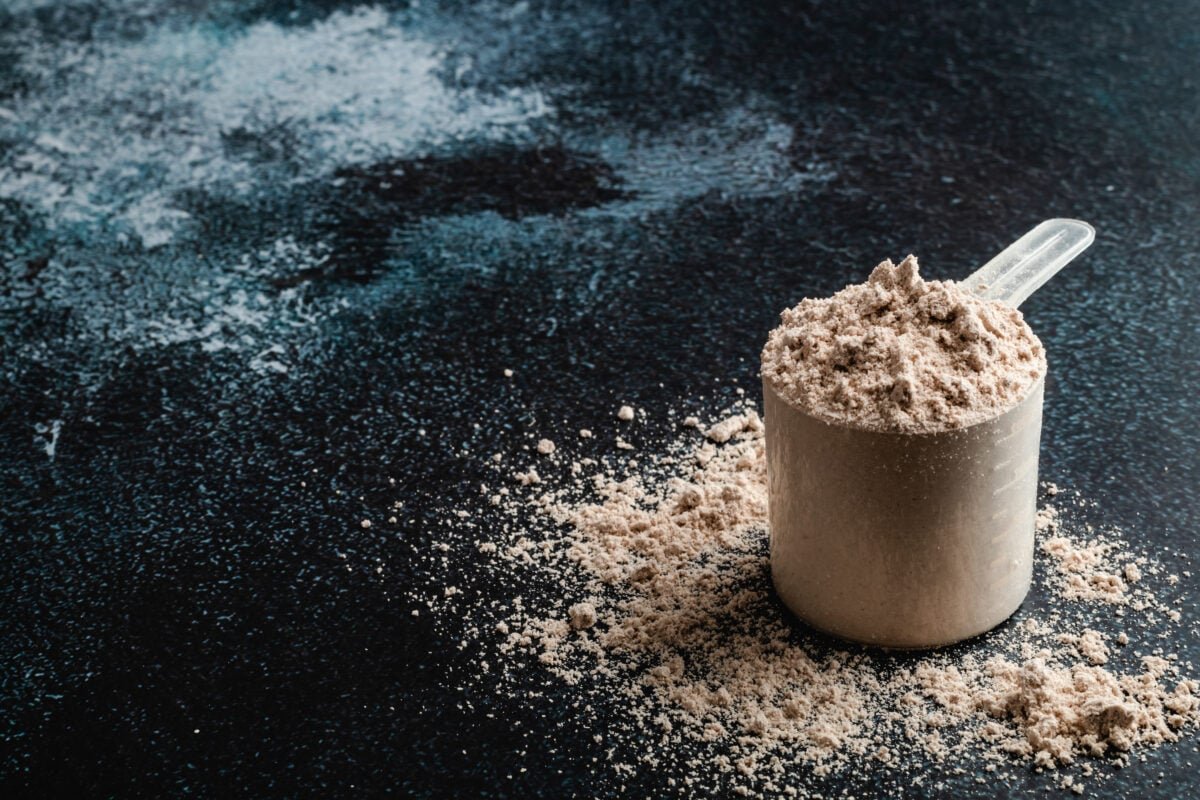 whey cheap protein guide for sale