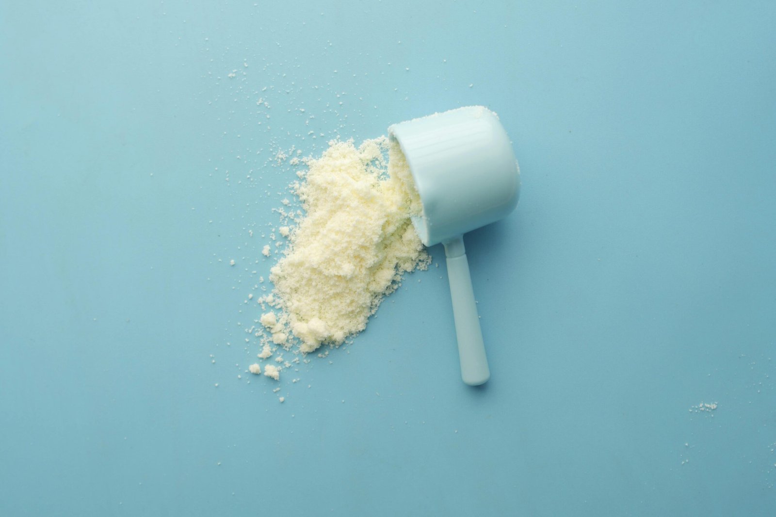 whey protein