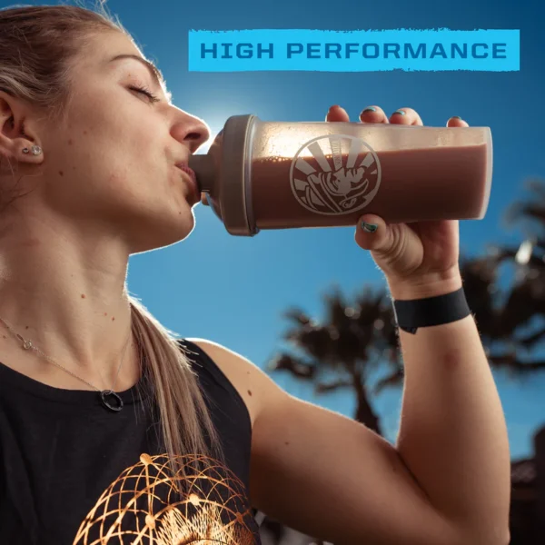 Sunwarrior Blend Organic Protein