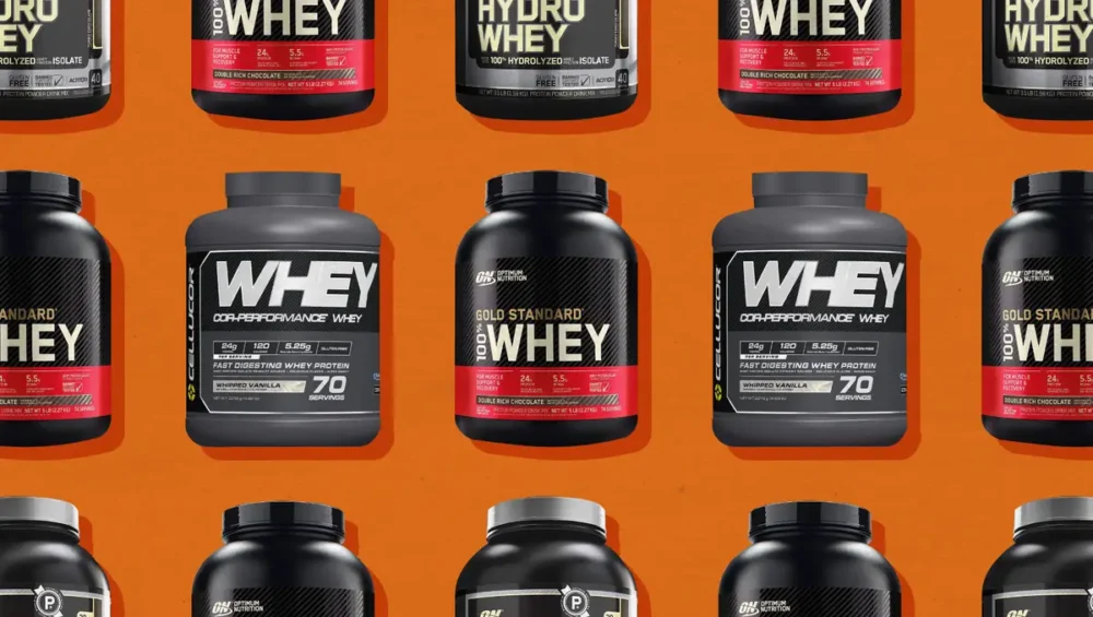 whey and plant protein better