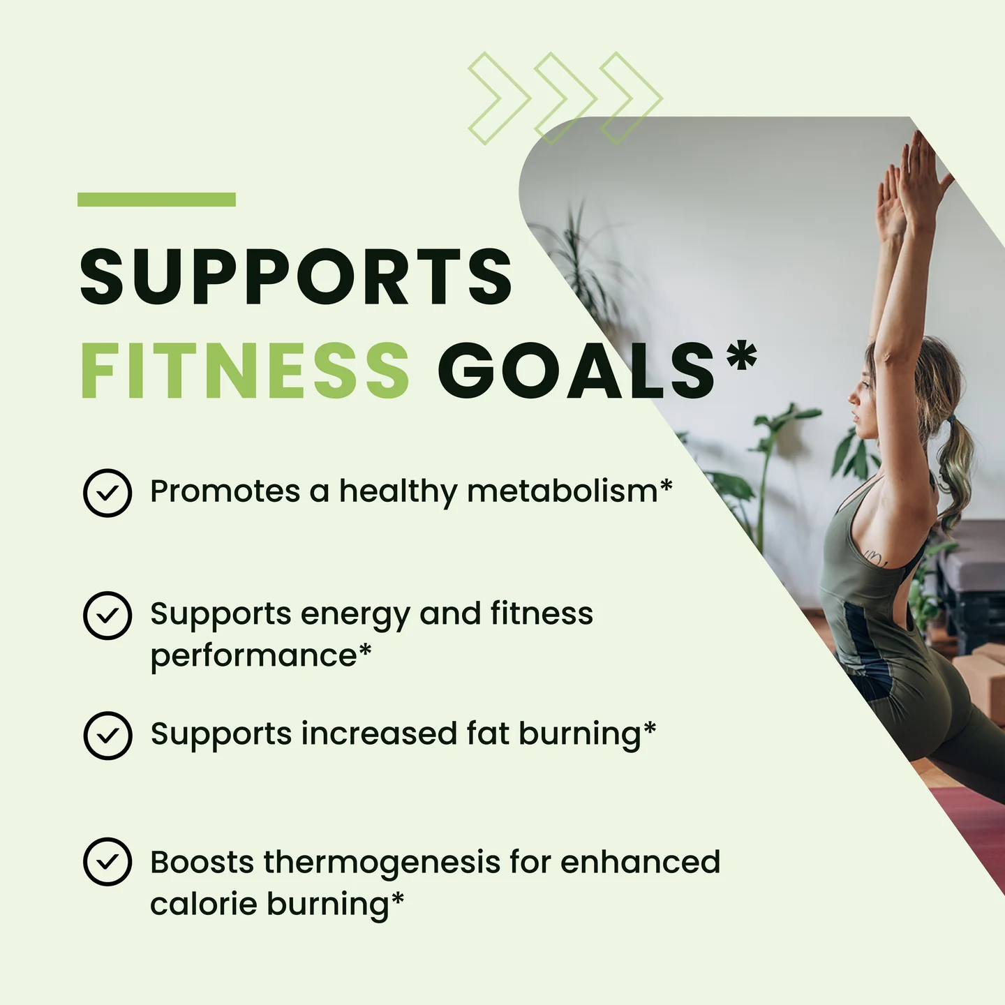 Nobi Nutrition Green Tea with EGCG Fat Burner Capsules 60ct