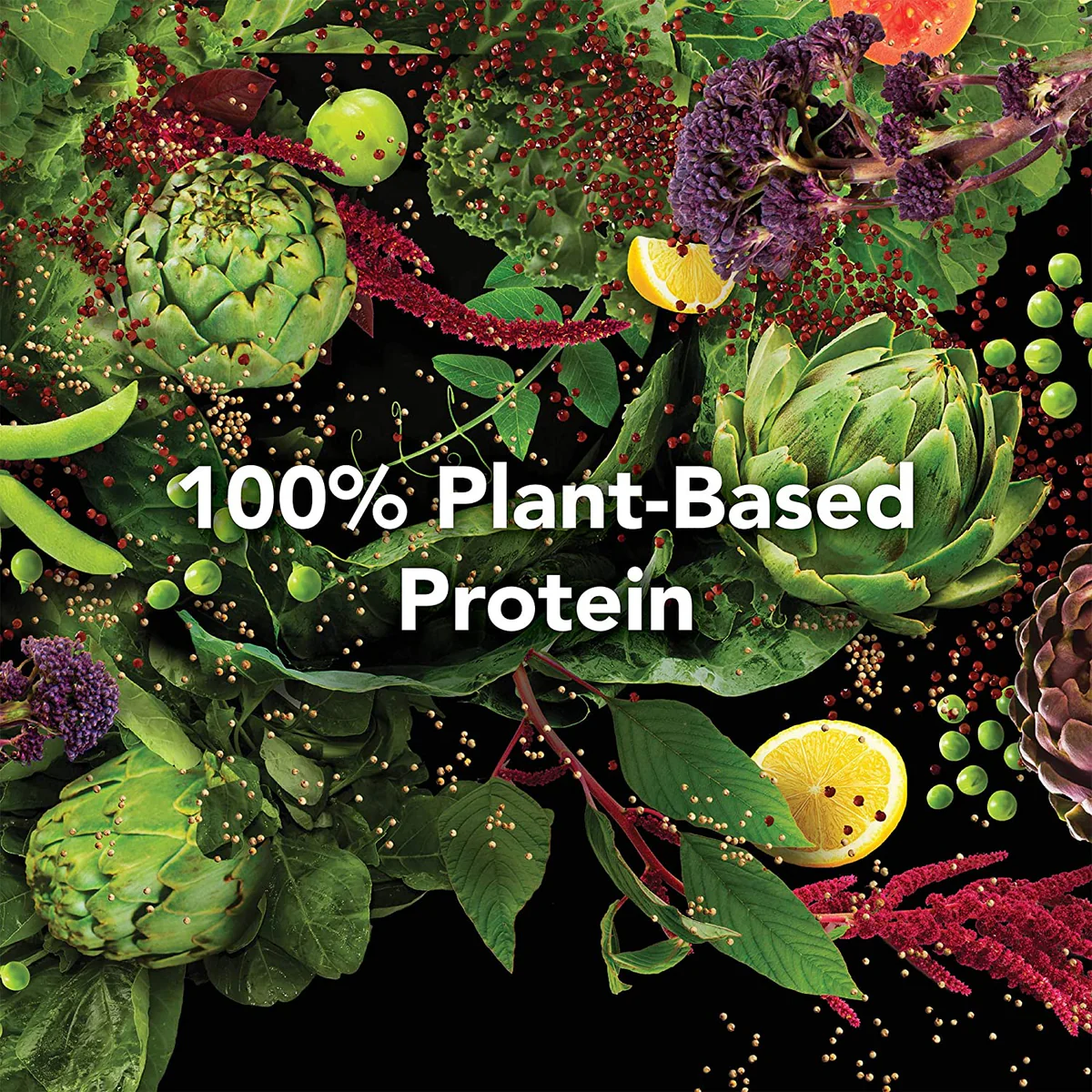 PlantFusion Complete Meal Vegan Meal Replacement Shake