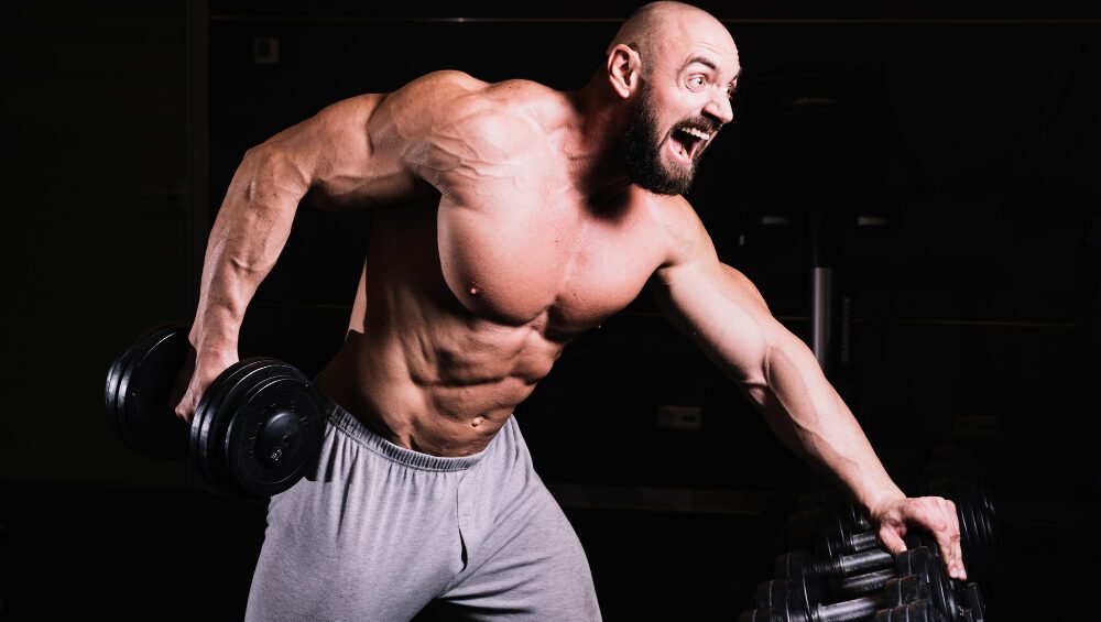gym supplements training regime