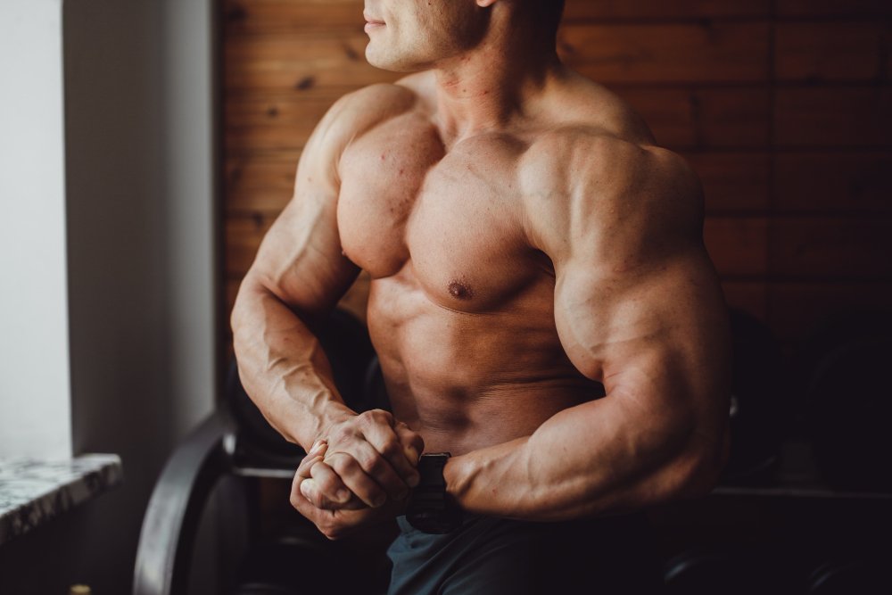 muscle gain supplements muscle gain supplements