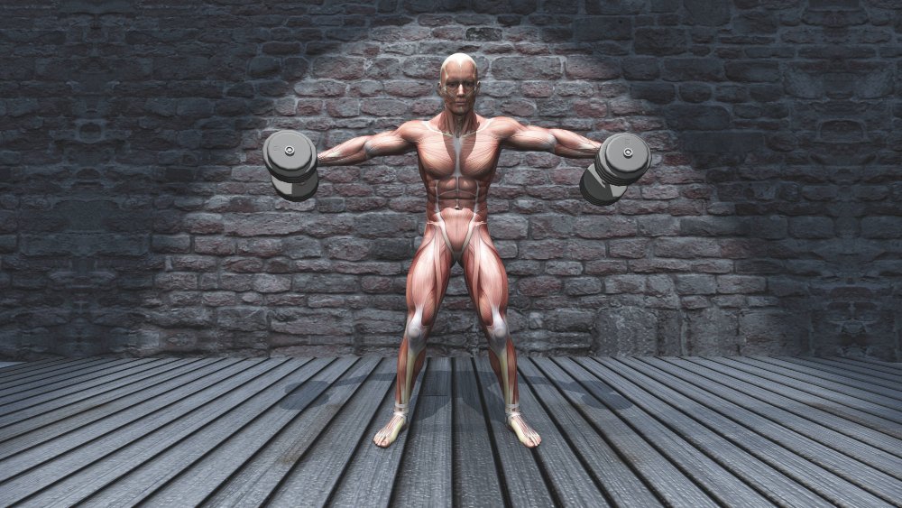 legal muscle growth supplements legal muscle growth supplements