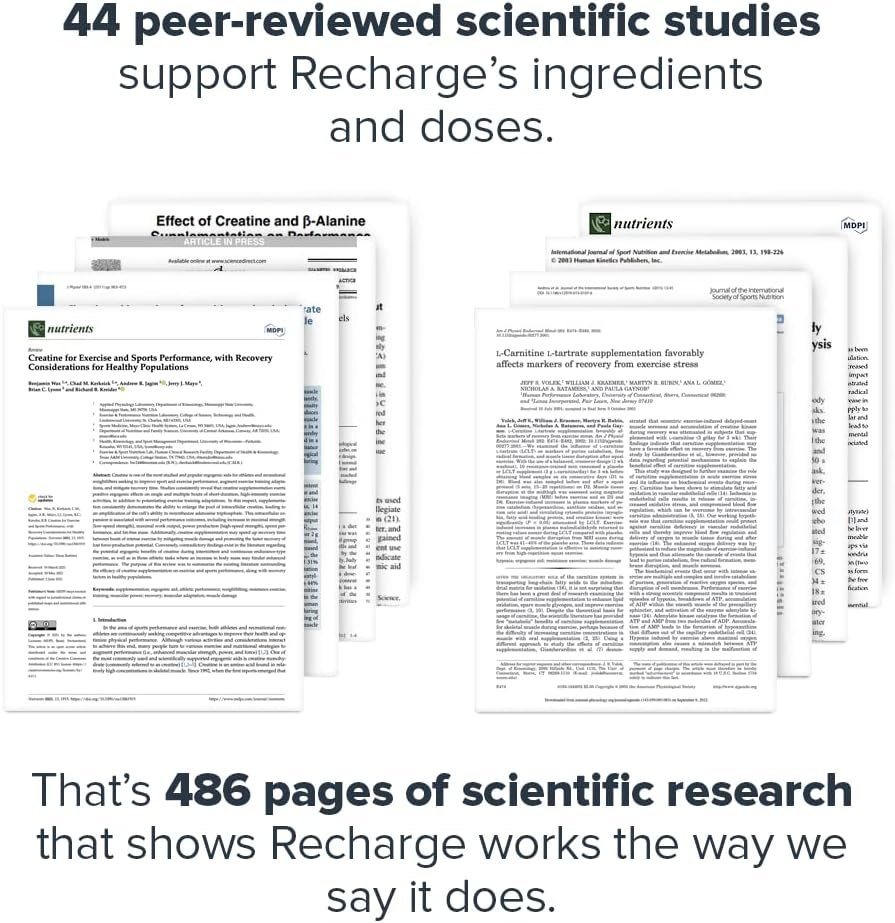 LEGION Recharge Post Workout Supplement - All Natural Muscle Builder and Recovery Drink