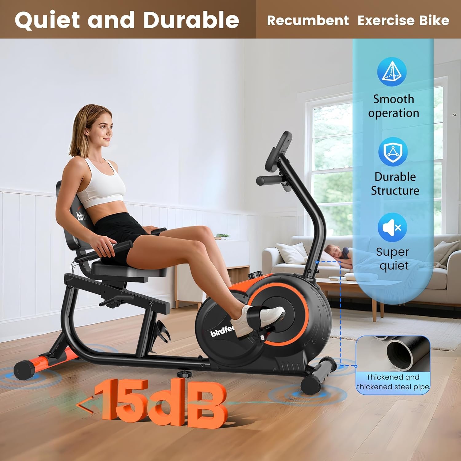 Recumbent Exercise Bike for Home Recumbent Stationary Bike for Adults and Seniors 3