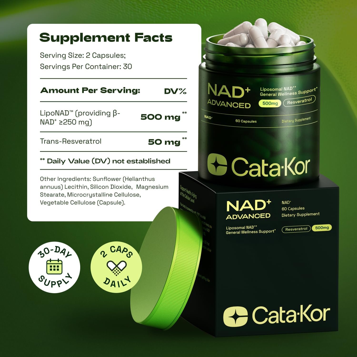 Liposomal NAD+ Supplement with Resveratrol 2