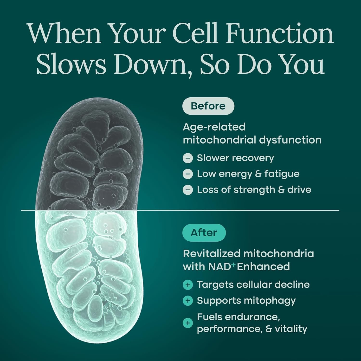 Liposomal NAD+ Supplement with Resveratrol Urolithin A CoQ10 and Giloy 8