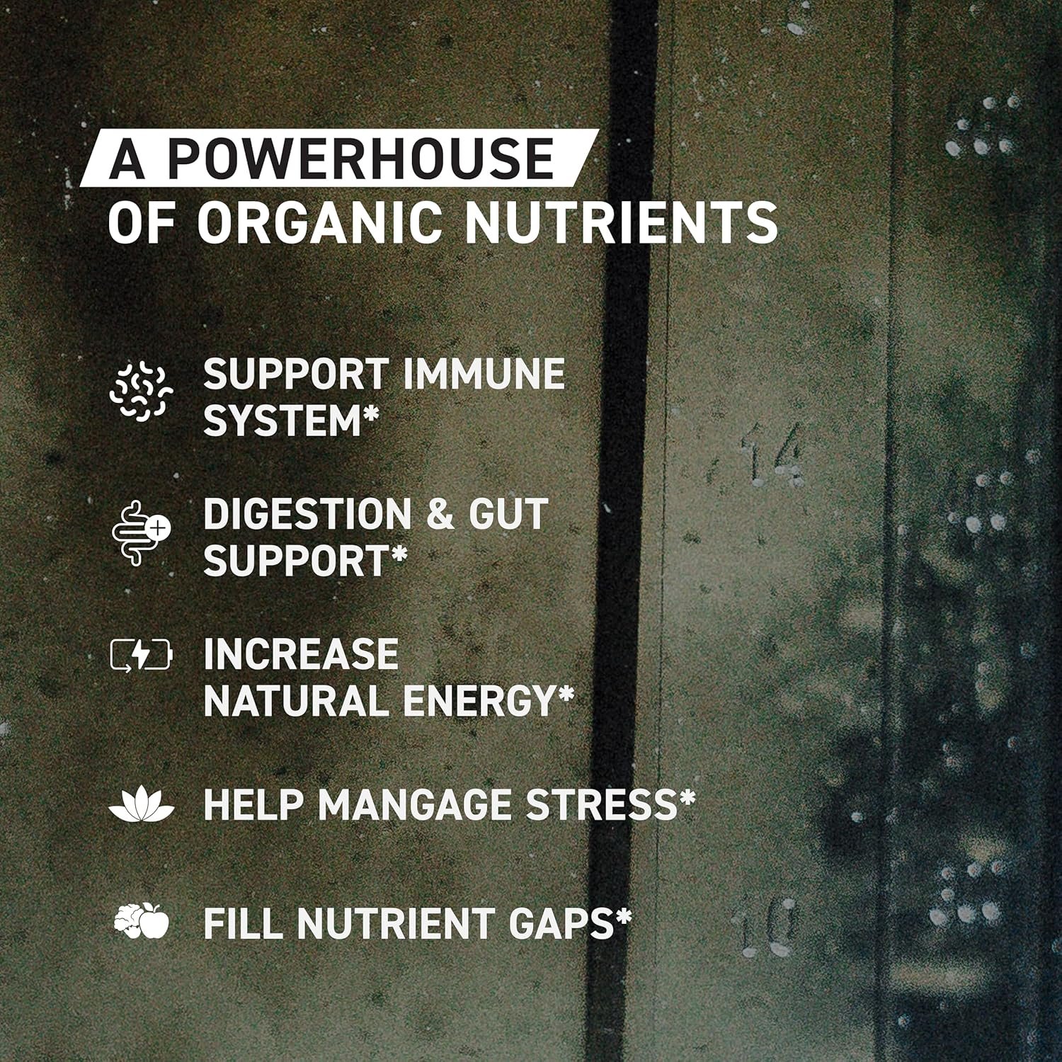 Kaged Organic Greens Superfood Powder - Image 5