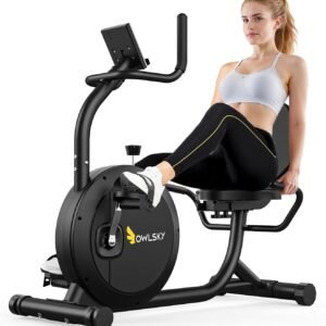 OWLSKY Recumbent Exercise Bike for Home Gym 1