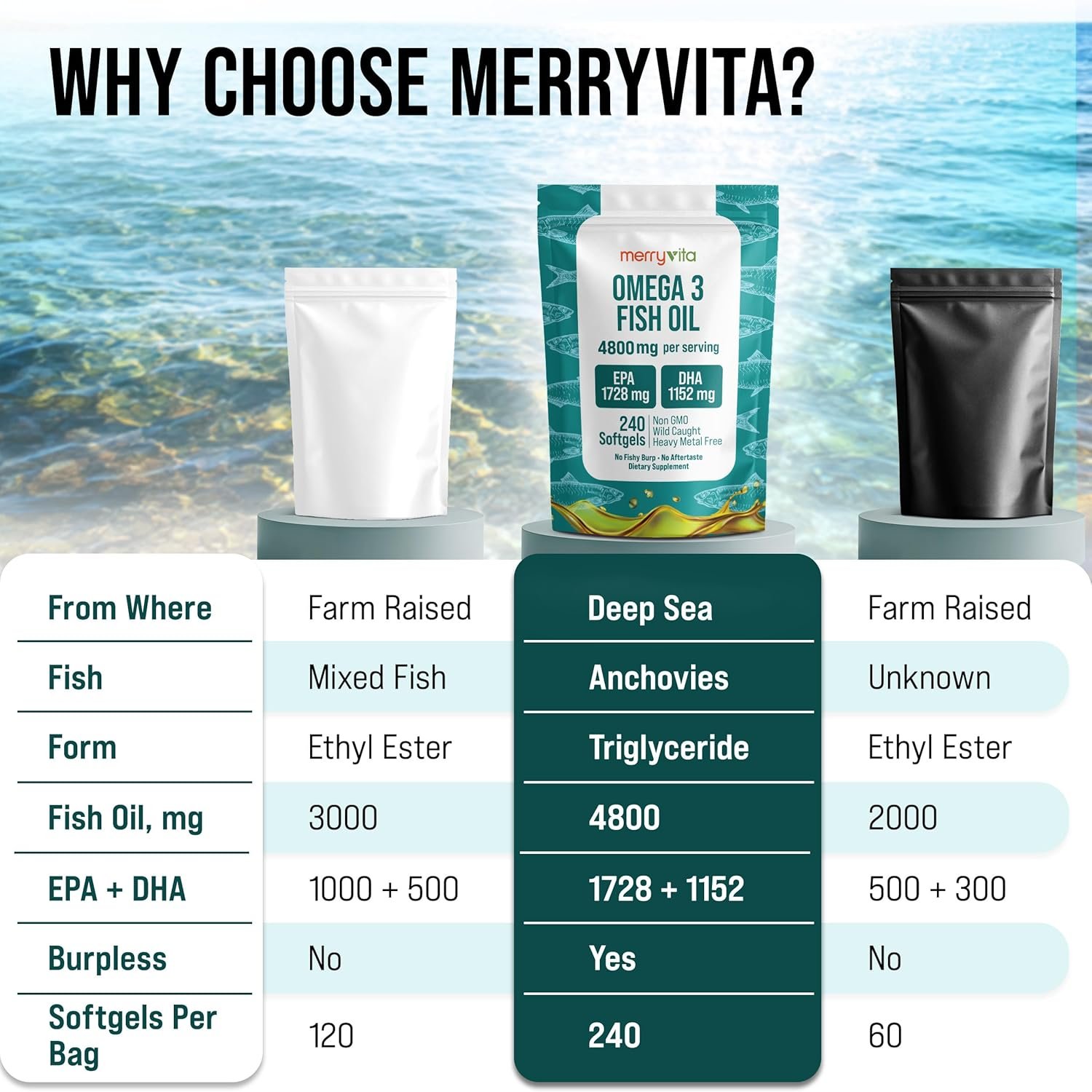 Omega 3 Fish Oil 4800 mg - Image 4