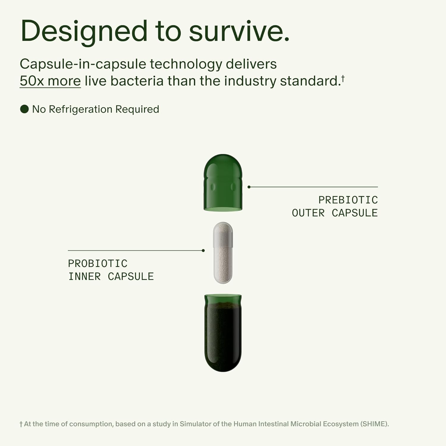 Seed DS-01 Daily Synbiotic Prebiotic and Probiotic - Image 5